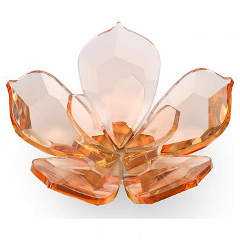 Figurka SWAROVSKI • Garden Tales Magnolia, duży 5580028