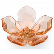 Figurka SWAROVSKI • Garden Tales Magnolia, duży 5580028