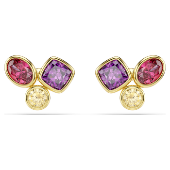 Swarovski kolczyki Imber 5760019