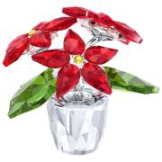 Figurka SWAROVSKI • Little Star Ornament 5291023