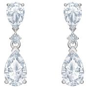 Kolczyki SWAROVSKI • Nice Stud 5512393 