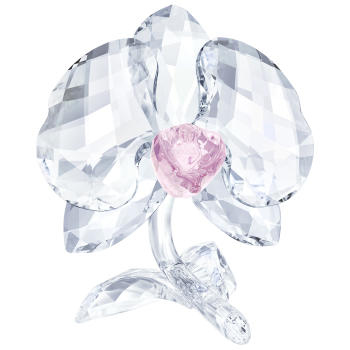 Figurka SWAROVSKI • Orchid 5301562