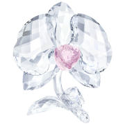Figurka SWAROVSKI • Orchid 5301562