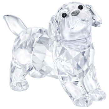 Figurka SWAROVSKI • Labrador Puppy 5400141