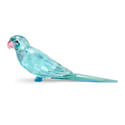 Figurka SWAROVSKI • Papuga 5574519