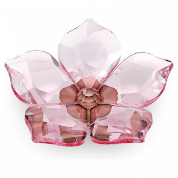 Figurka SWAROVSKI • Garden Tales Magnes Kwiat wiśni, duży 5580026 