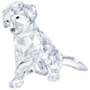 Figurka SWAROVSKI • Labrador 5399004