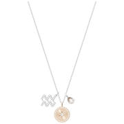 Naszyjnik SWAROVSKI • Zodiac Pendant, Wodnik, Gray, Rhodium 5349213